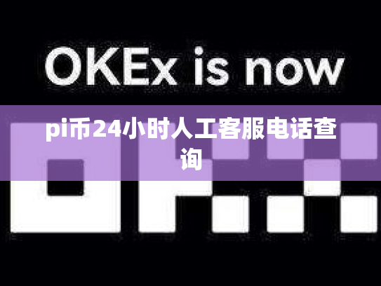 pi币24小时人工客服电话查询