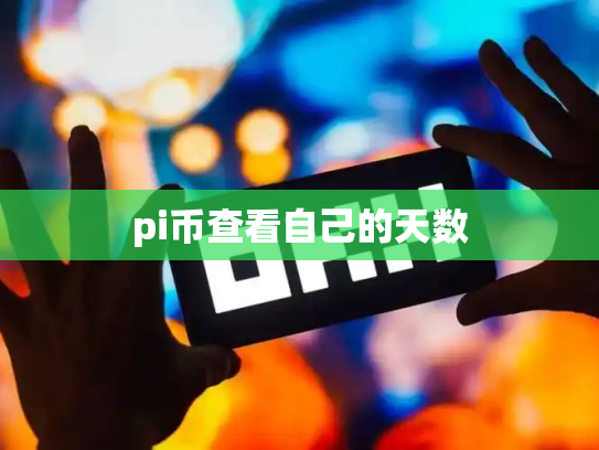 pi币查看自己的天数