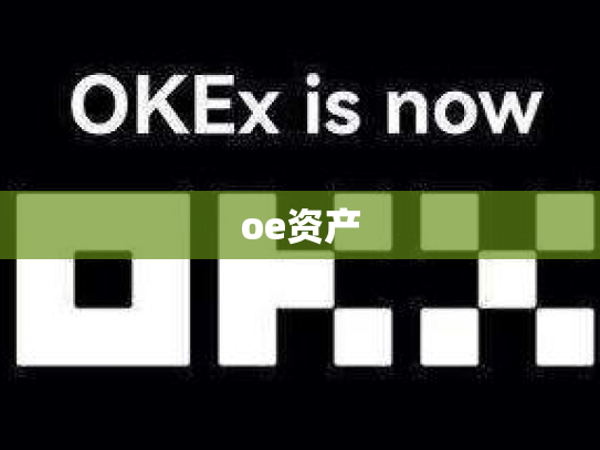 oe资产