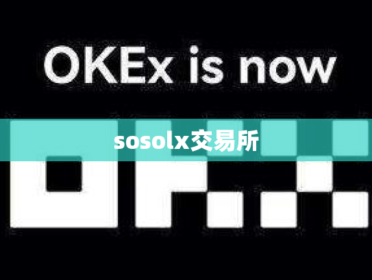 sosolx交易所