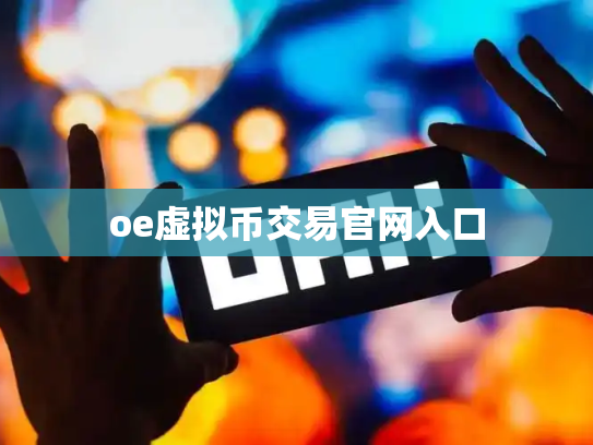 oe虚拟币交易官网入口