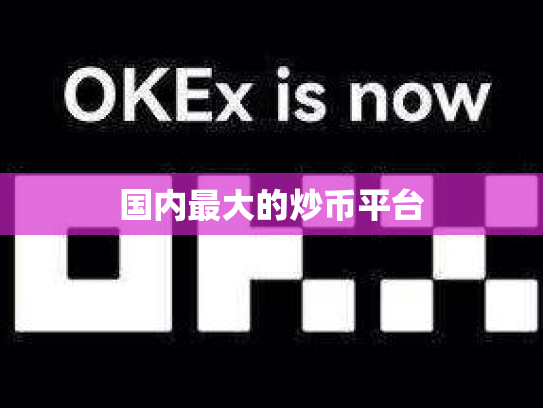 国内最大的炒币平台