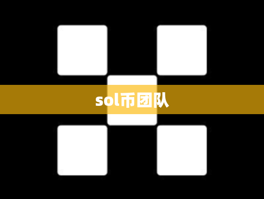 sol币团队