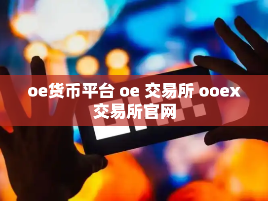 oe货币平台 oe 交易所 ooex交易所官网