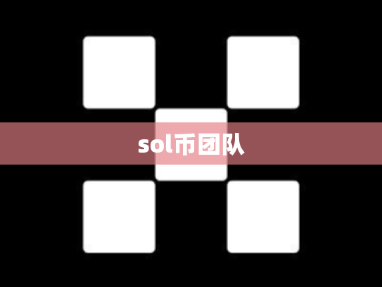 sol币团队