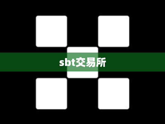 sbt交易所