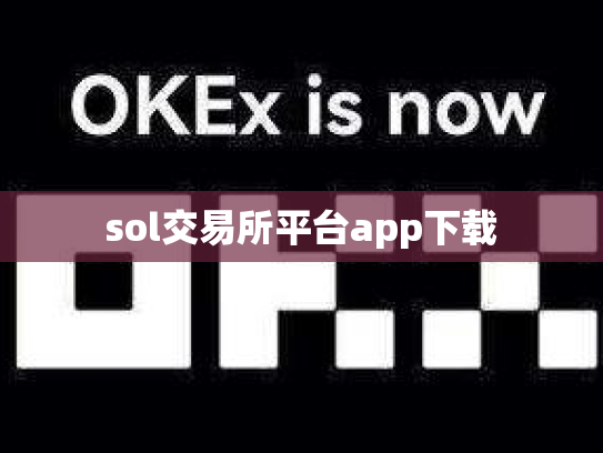 sol交易所平台app下载