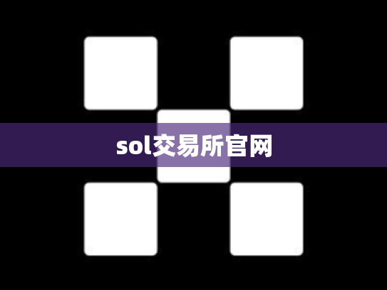 sol交易所官网