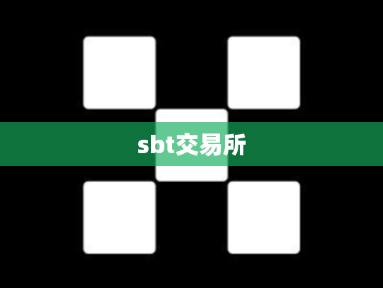 sbt交易所