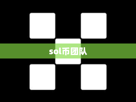 sol币团队