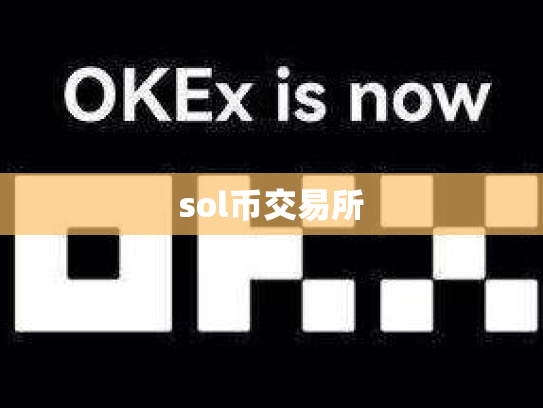 sol币交易所