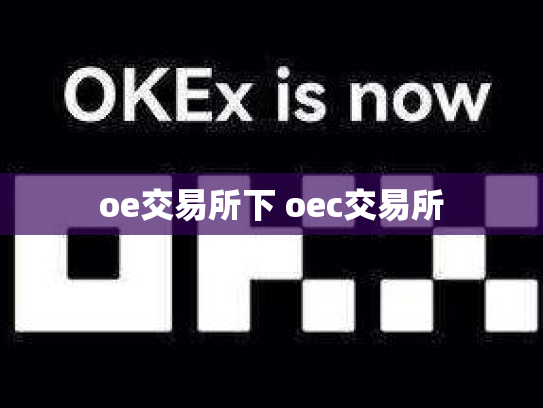 oe交易所下 oec交易所