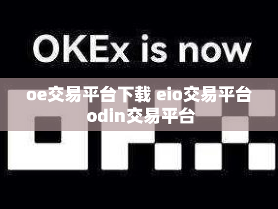 oe交易平台下载 eio交易平台 odin交易平台