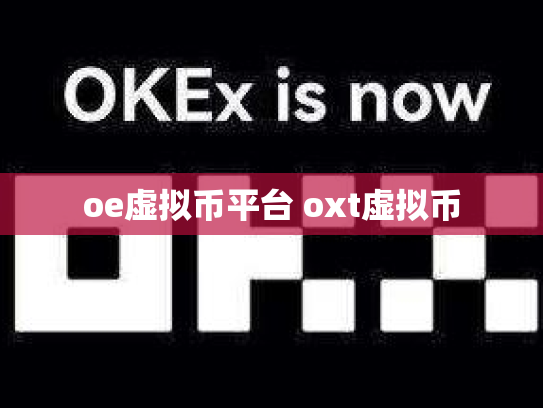 oe虚拟币平台 oxt虚拟币
