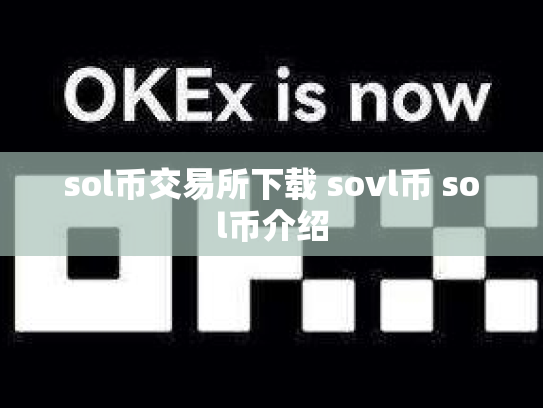 sol币交易所下载 sovl币 sol币介绍
