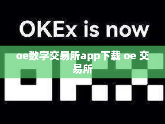 oe数字交易所app下载 oe 交易所