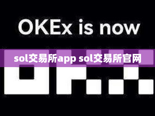 sol交易所app sol交易所官网