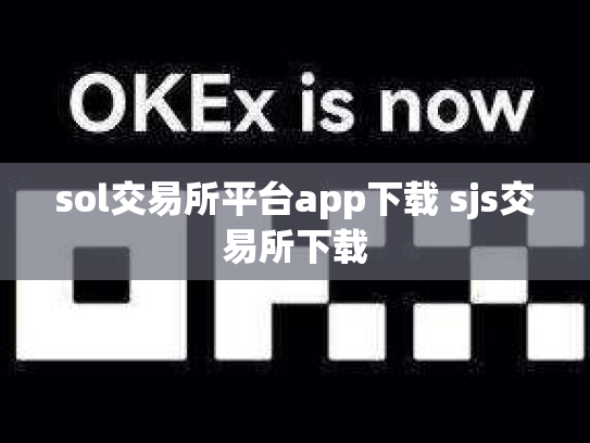 sol交易所平台app下载 sjs交易所下载