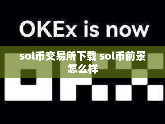 sol币交易所下载 sol币前景怎么样