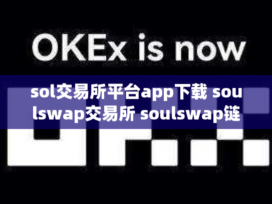 sol交易所平台app下载 soulswap交易所 soulswap链上交易所