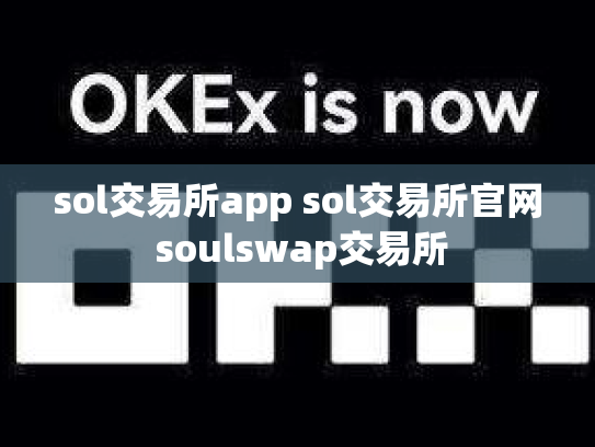 sol交易所app sol交易所官网 soulswap交易所