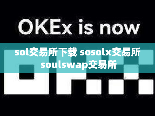 sol交易所下载 sosolx交易所 soulswap交易所