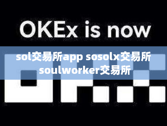 sol交易所app sosolx交易所 soulworker交易所