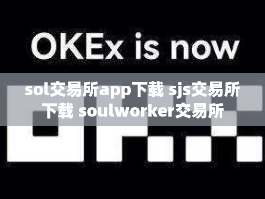 sol交易所app下载 sjs交易所下载 soulworker交易所