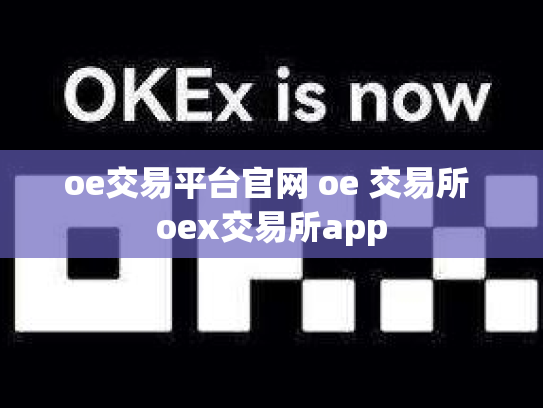 oe交易平台官网 oe 交易所 oex交易所app
