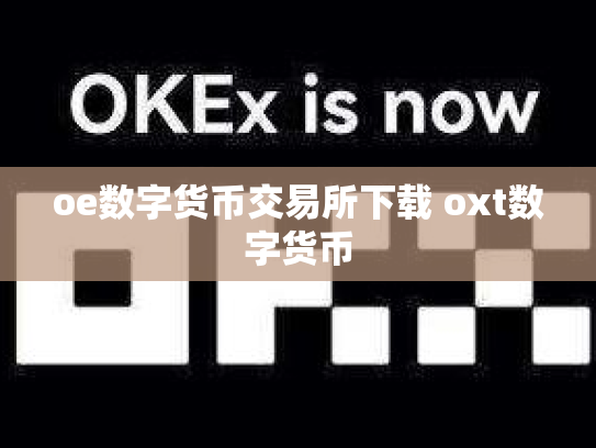 oe数字货币交易所下载 oxt数字货币