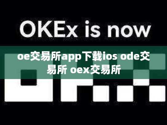 oe交易所app下载ios ode交易所 oex交易所