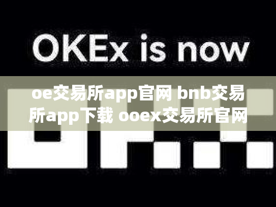 oe交易所app官网 bnb交易所app下载 ooex交易所官网