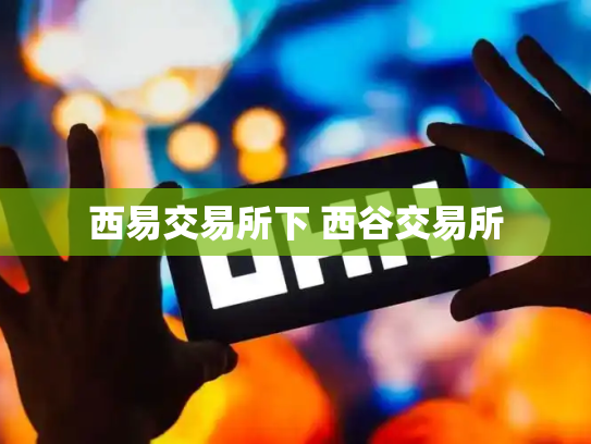 西易交易所下 西谷交易所