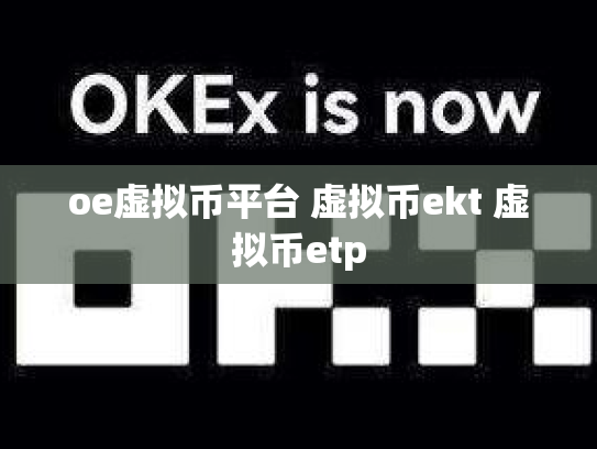 oe虚拟币平台 虚拟币ekt 虚拟币etp