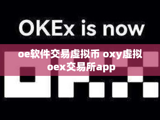 oe软件交易虚拟币 oxy虚拟 oex交易所app