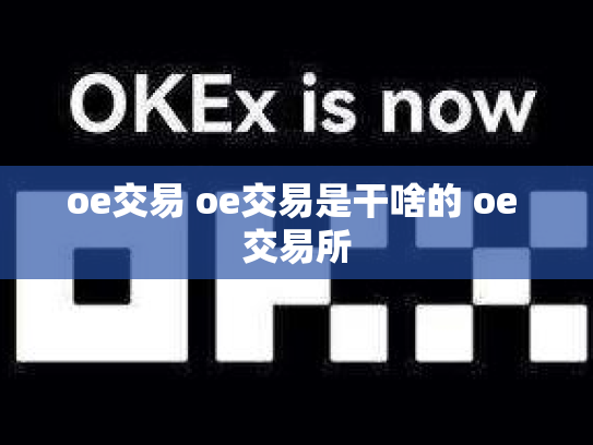 oe交易 oe交易是干啥的 oe 交易所
