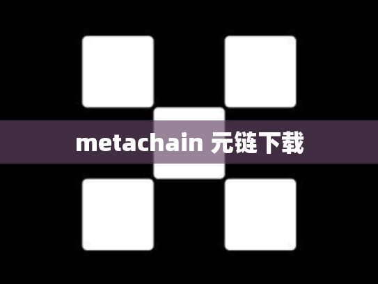 metachain 元链下载
