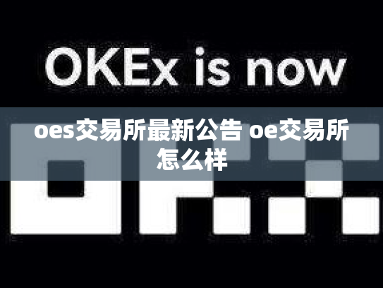 oes交易所最新公告 oe交易所怎么样