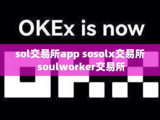 sol交易所app sosolx交易所 soulworker交易所