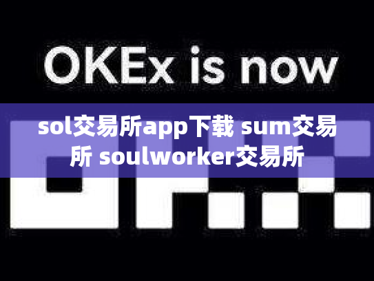 sol交易所app下载 sum交易所 soulworker交易所