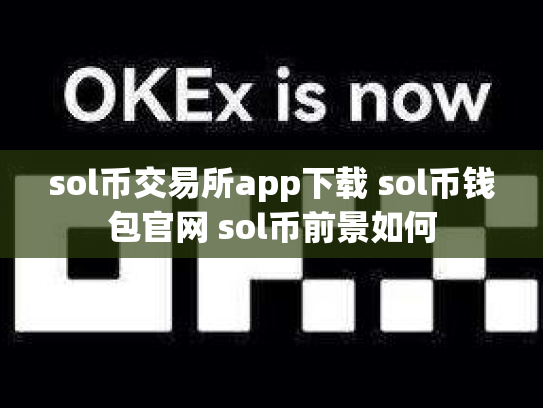 sol币交易所app下载 sol币钱包官网 sol币前景如何