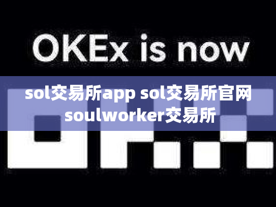 sol交易所app sol交易所官网 soulworker交易所