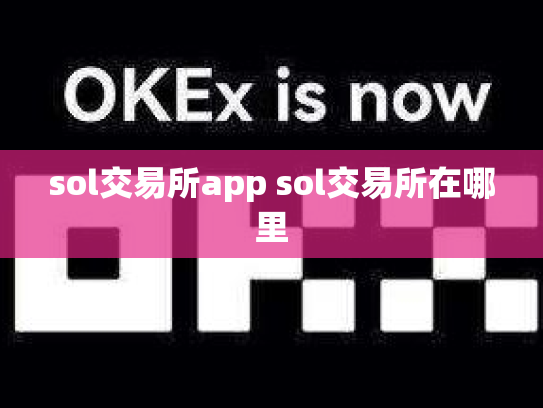 sol交易所app sol交易所在哪里