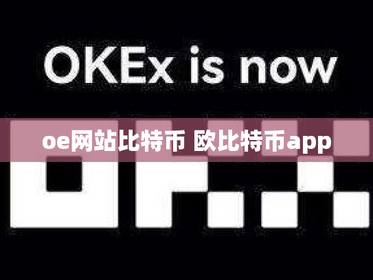 oe网站比特币 欧比特币app