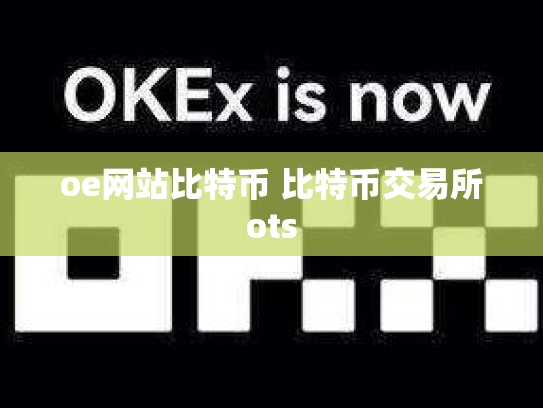 oe网站比特币 比特币交易所ots