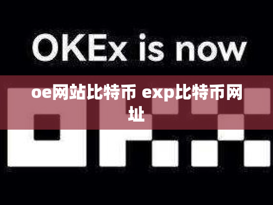 oe网站比特币 exp比特币网址