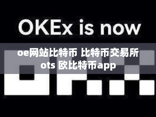 oe网站比特币 比特币交易所ots 欧比特币app