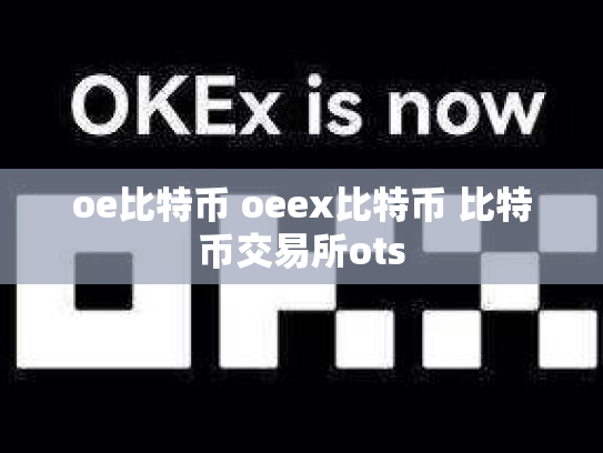 oe比特币 oeex比特币 比特币交易所ots