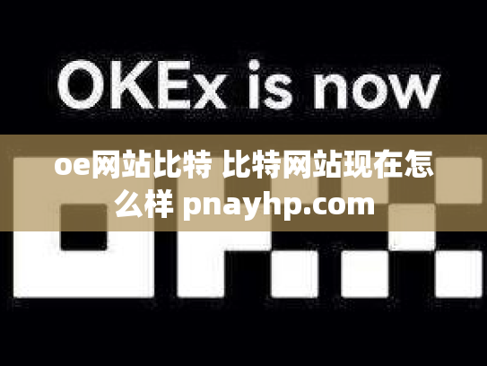 oe网站比特 比特网站现在怎么样 pnayhp.com
