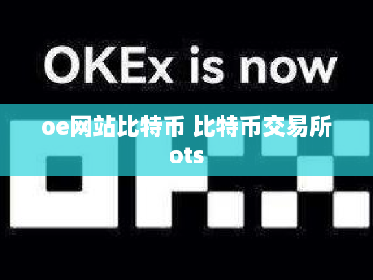 oe网站比特币 比特币交易所ots